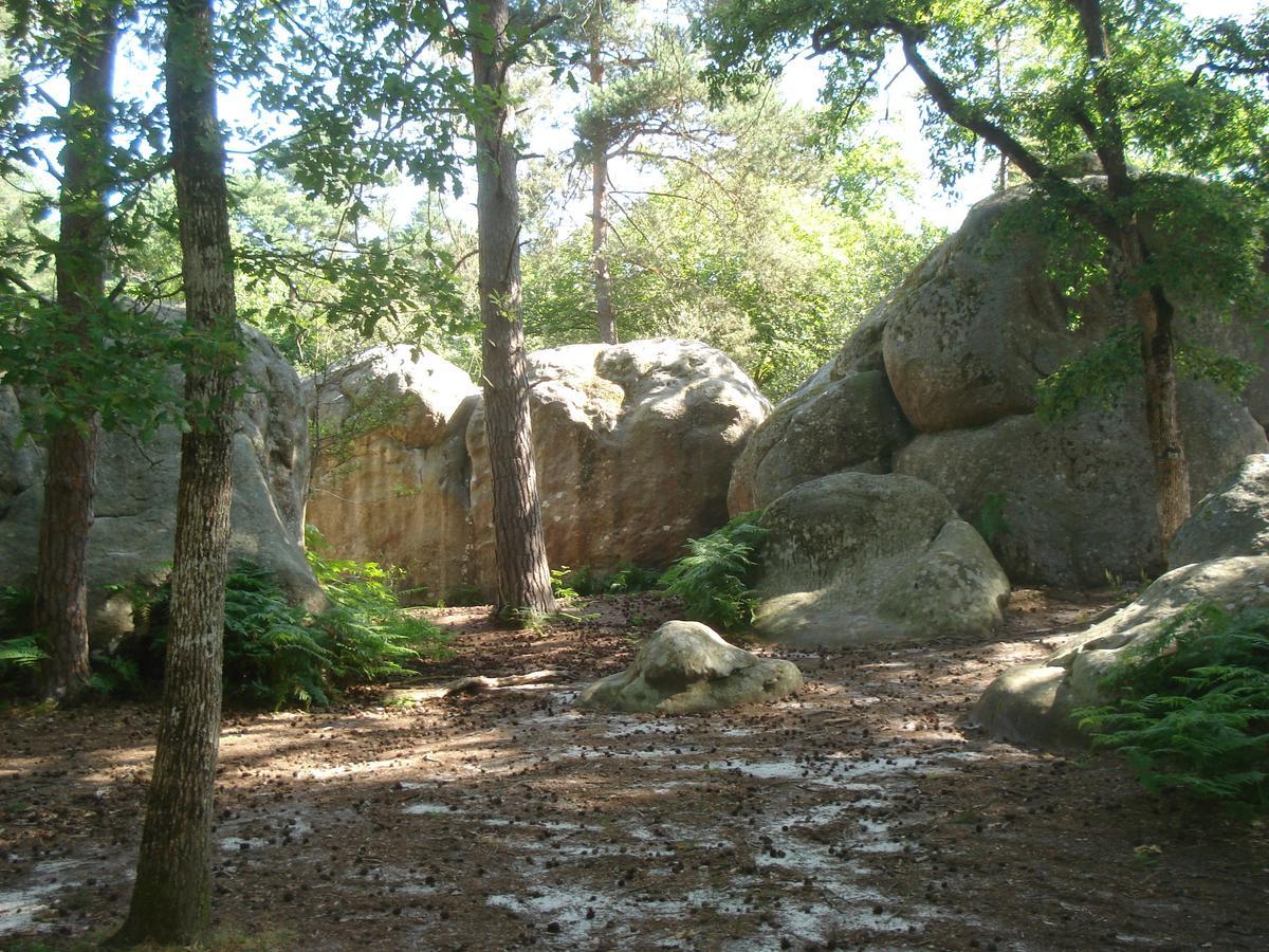 Les Premices De La Foret Chailly-en-Biere Exterior photo